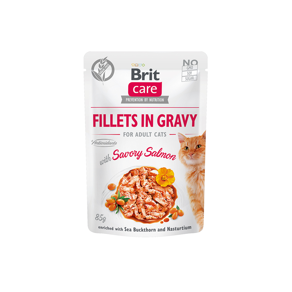 Brit Care Cat - Fillets in Gravy with Savory Salmon 