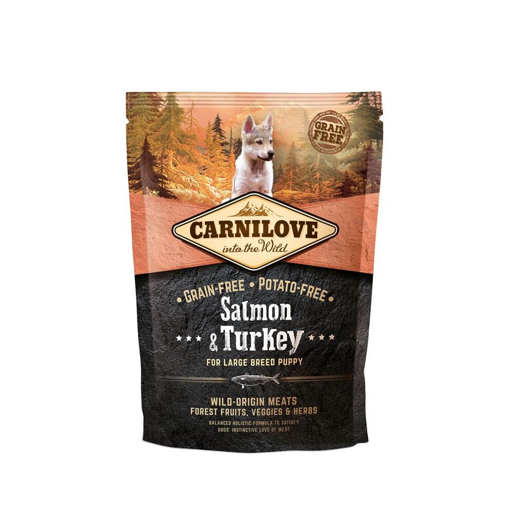 Carnilove Hund Premium Trockenfutter Salmon Turkey Large Breed Puppy Lachs Truthahn Welpen Junghunde großer Rassen Verpackung 100g Probe
