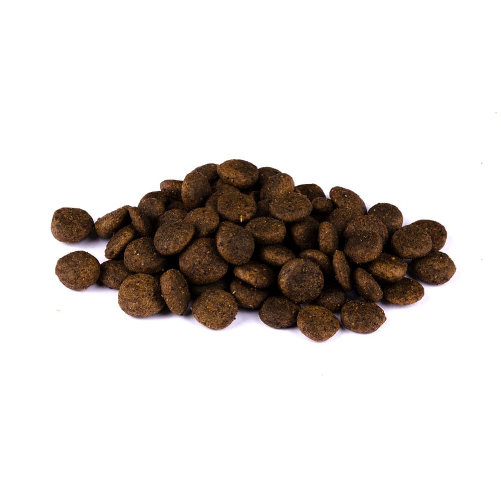 Christopherus Getreidesfreies Premium Trockenfutter für Hunde erwachsener und ausgewachsener Hund Sorte Forelle und Insekt Bild vom Trockenfutter