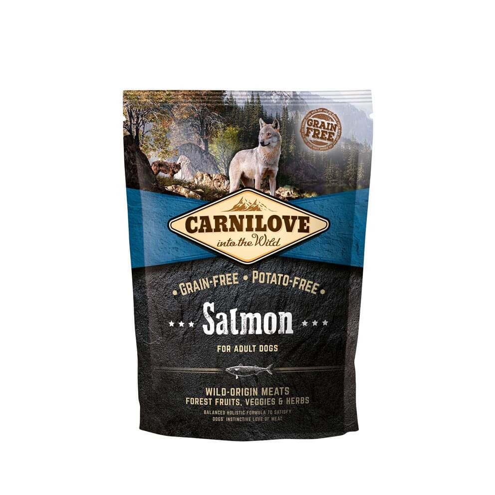 Probe Carnilove Hund - Salmon ausgewachsene Hunde